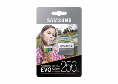 Samsung 256GB MicroSDXC EVO Select Memory Card