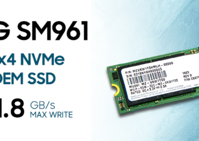 Samsung 1TB SM961 Single Sided Polaris V-NAND MLC 80mm (2280) M.2 PCI Express 3.0 x4 (PCIe Gen3 x4) NVMe OEM SSD - MZVKW1T0HMLH