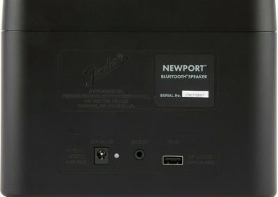 Fender Newport 30W Wireless Bluetooth Portable Speaker