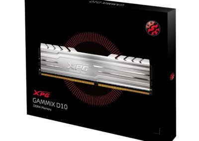 16GB (2 x 8GB) Adata XPG Gammix D10 DDR4 3000 SDRAM with CAS Latency 16 and lifetime warranty
