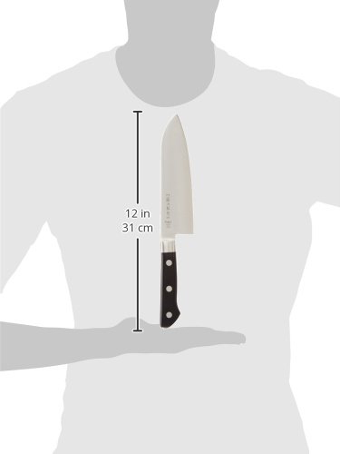 Tojiro DP Santoku 6.7" knife (12" total length) 17cm VG-10