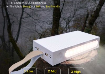 20000mAh Portable Charger, Yoobao 20E Ultra-High Capacity External Battery Power Bank Cell Phone Battery Backup (2-Output, 3-Input, LED Flashlight) Compatible iPhone, iPad, Samsung Galaxy & More