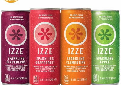 IZZE Sparkling Juice, 4 Flavor Variety Pack, Pack of 24, 8.4 oz Cans